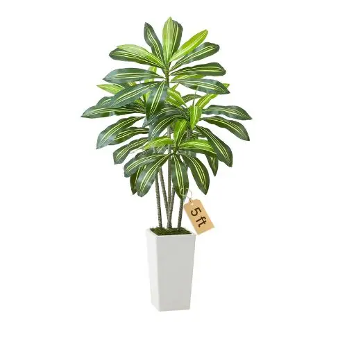 5 Ft Artificial Palmtree Dracaena Tree For Home Office Fh-Bxt150 1