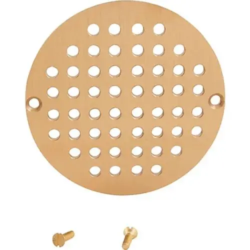 6" Floor Drain Grate 1021081 1