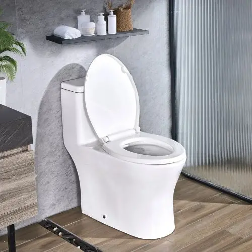 Elongated One-Piece Toilet Vortex Dual-Flush 1.0/1.28 Gpf Easy-Clean Skirted Design (White & Black) 1