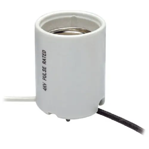 Leviton Mogul Base Single Circuit Porcelain Lampholder 8756 1