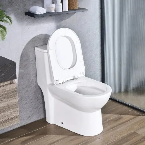One-Piece Elongated Toilet 1.1/1.6 Gpf Easy-Clean Skirted 10" Rough-In (White & Silver) 1