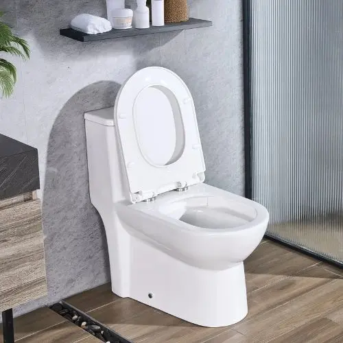 One-Piece Elongated Toilet 1.1/1.6 Gpf Easy-Clean Skirted 12" Rough-In (White & Silver) 1