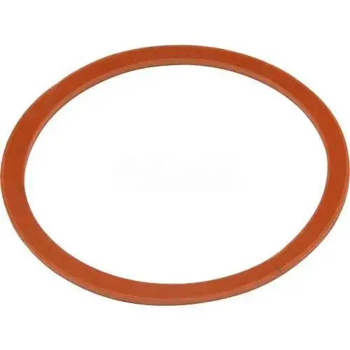 Replacement Gasket For Zurn Z1175 Hair Interceptor 1