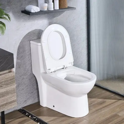 Vortex Dual-Flush One-Piece Toilet 1.1/1.6 Gpf Comfortable Chair Seat 12" Rough-In (Black & White) 1